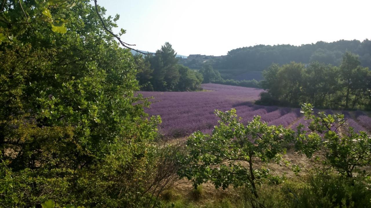 Les Vallons Holiday Home Lioux Zewnętrze zdjęcie