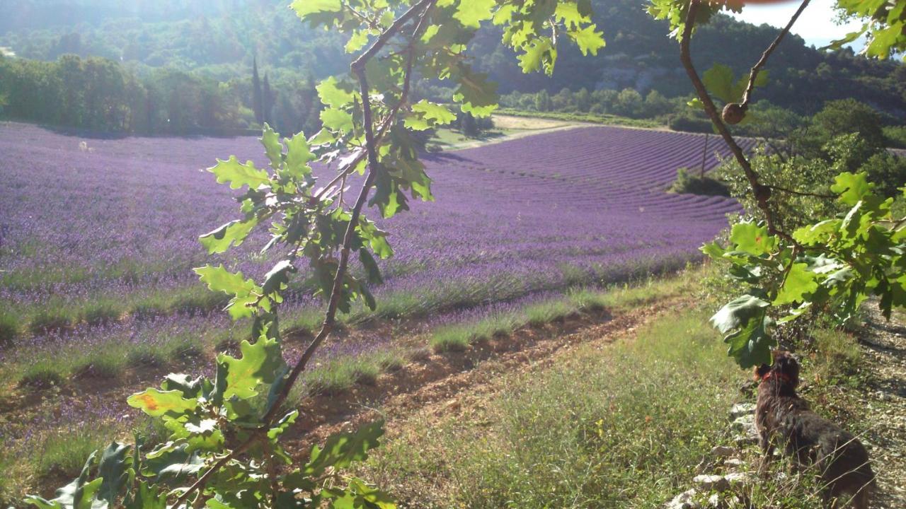 Les Vallons Holiday Home Lioux Zewnętrze zdjęcie